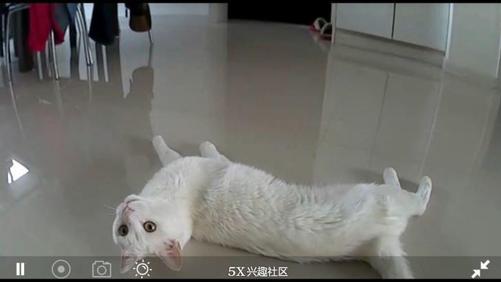 继续体验好玩好用也“好贵”的网件Arlo爱洛纯无线