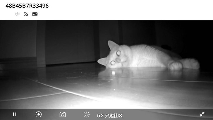 继续体验好玩好用也“好贵”的网件Arlo爱洛纯无线