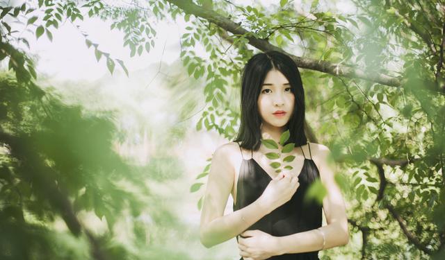 娴ⅵ6,娴ⅵ鍏勾