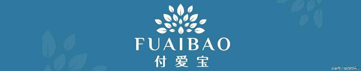 付爱宝付于敏去哪了,付于敏为什么离开付爱宝