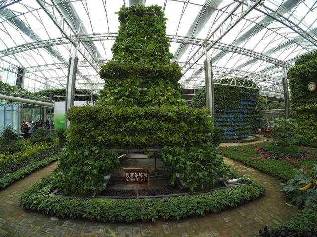 带上小蚁运动相机游潍坊（三）寿光菜博会