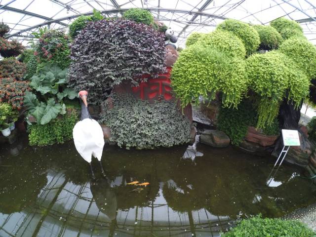 带上小蚁运动相机游潍坊（三）寿光菜博会