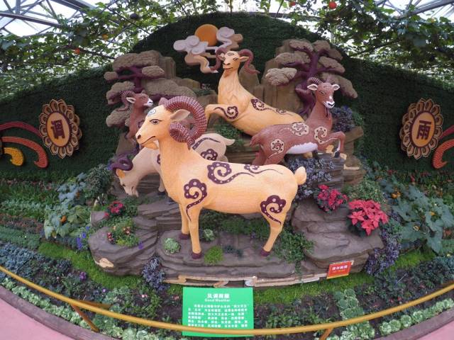 带上小蚁运动相机游潍坊（三）寿光菜博会