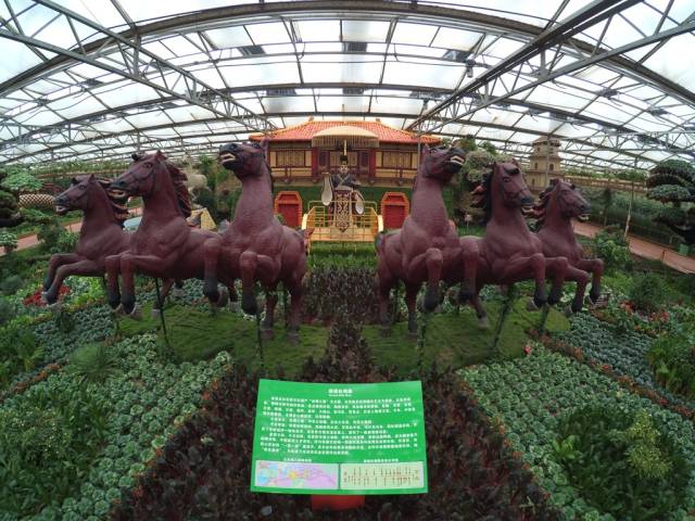 带上小蚁运动相机游潍坊（三）寿光菜博会