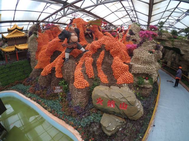 带上小蚁运动相机游潍坊（三）寿光菜博会