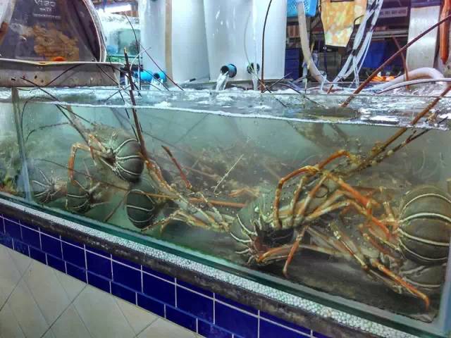 小蚁运动相机旅行,小蚁运动相机国外