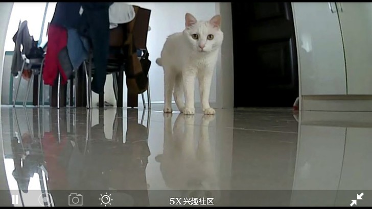 继续体验好玩好用也“好贵”的网件Arlo爱洛纯无线