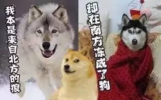 都说句容是个好地方——你太天真了