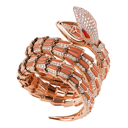 表就表吧,这些时装表非要自称宝宝