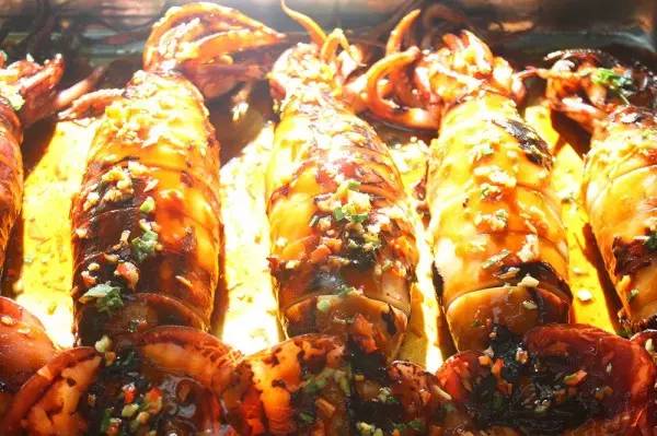 报考中国海洋大学，你要先想清楚这十个问题！