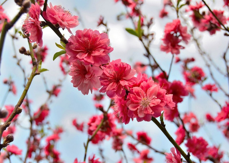报考中国海洋大学，你要先想清楚这十个问题！