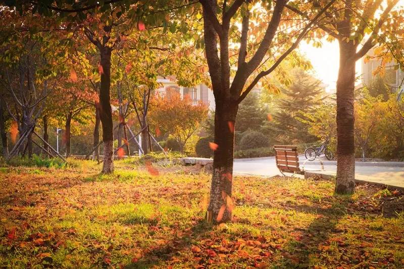 报考中国海洋大学，你要先想清楚这十个问题！