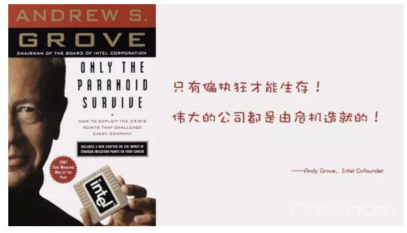 天使投资利润如何分配,天使投资的十种方法