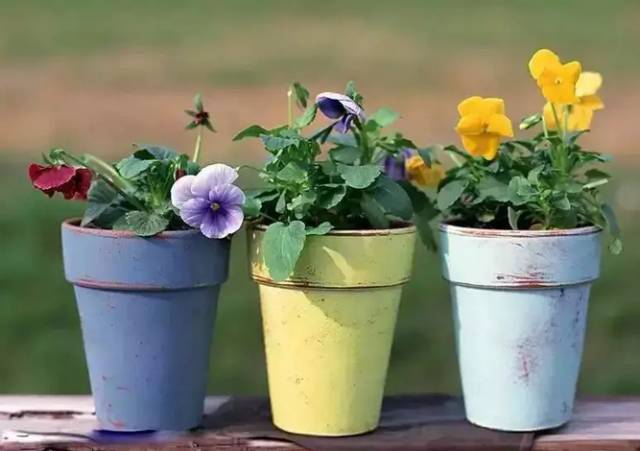 旧袜子不要扔冬天不用怕冻手了,旧袜子丢了是什么征兆