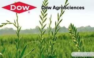 陶氏益农优先除草剂春季除草用量,陶氏益农麦施立除草剂一盒多少钱