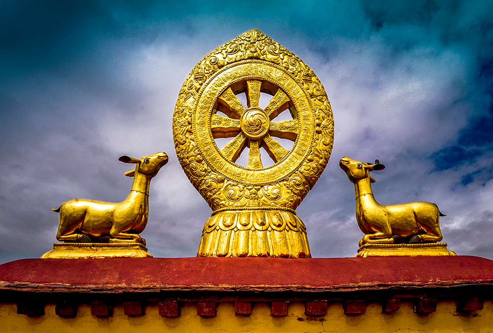 大师的移情行摄利器体验索尼全画幅微单A7RII