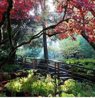 一万块钱去加拿大旅游,一元玩转十六种项目