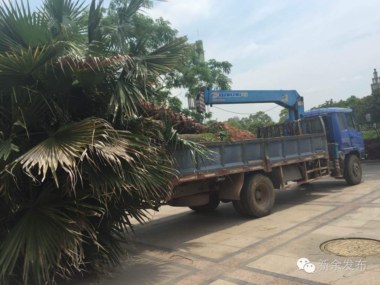 物业监守自盗小区设施,物业监守自盗的案例