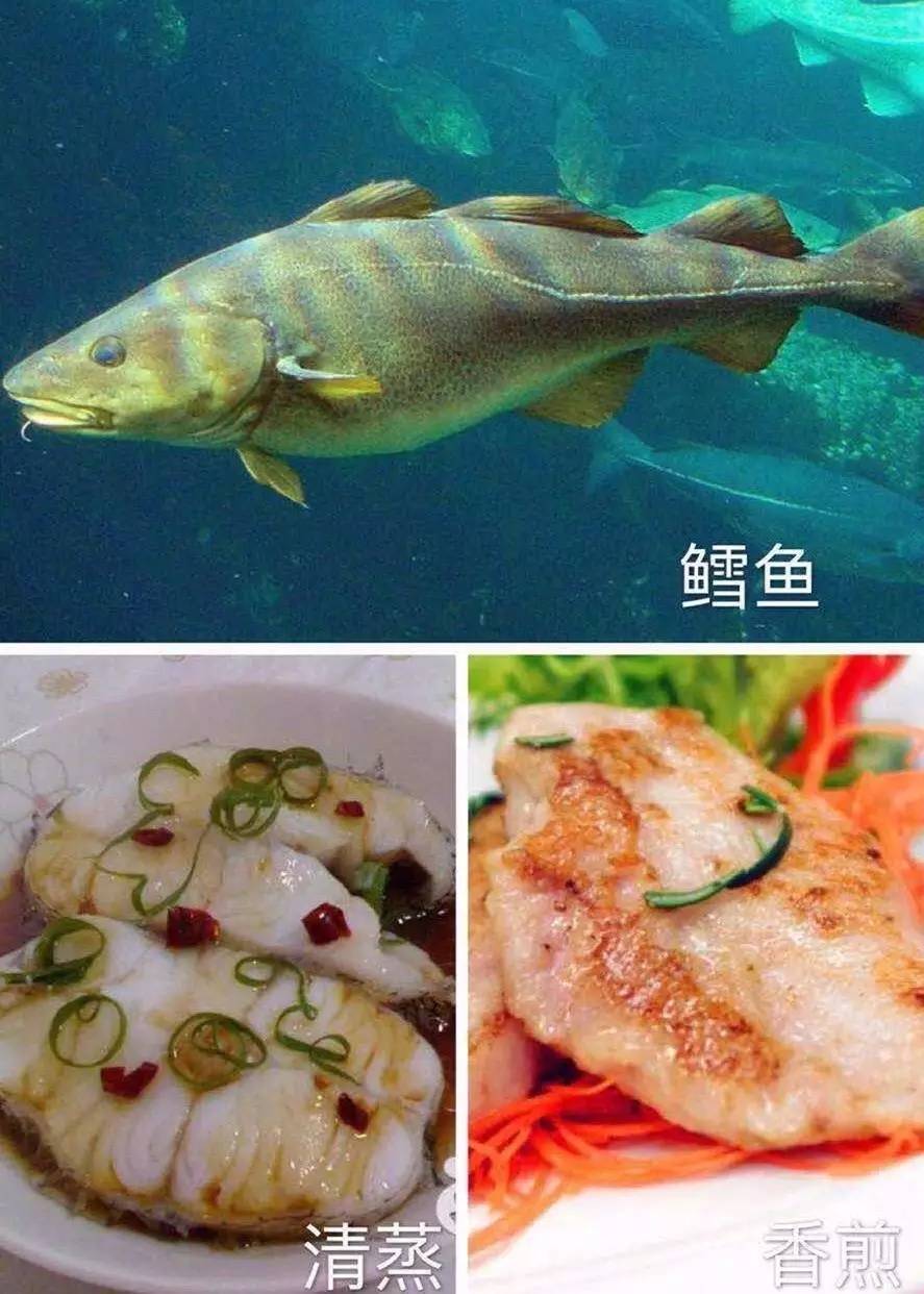 临沂百家美食微商,一人一份大礼送给你!(第一波)