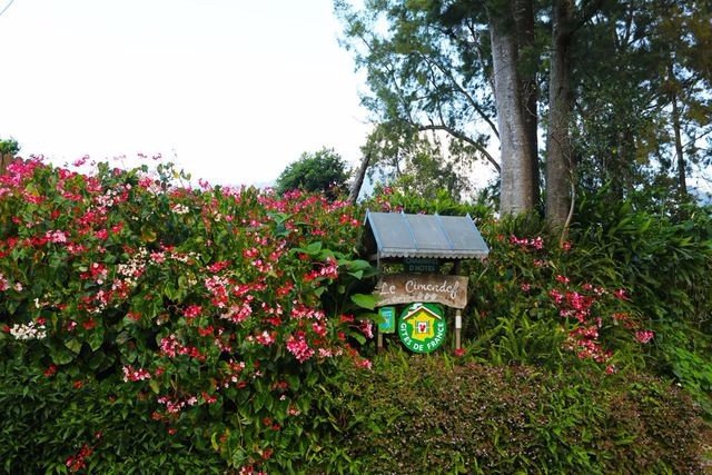 留尼汪有什么,留尼汪英文怎么读