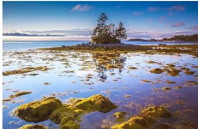 一万块钱去加拿大旅游,一元玩转十六种项目