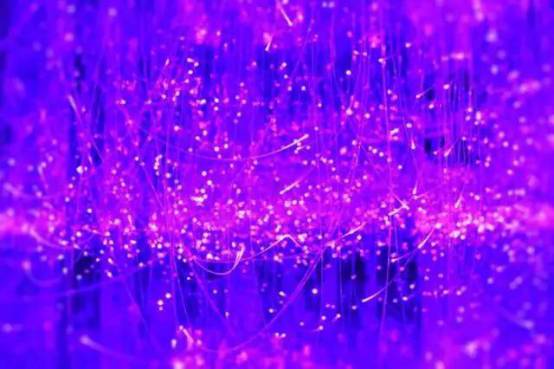 带你去天台看萤火虫,夏天最浪漫的事一起看萤火虫