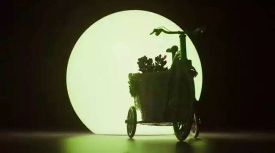 带你去天台看萤火虫,夏天最浪漫的事一起看萤火虫