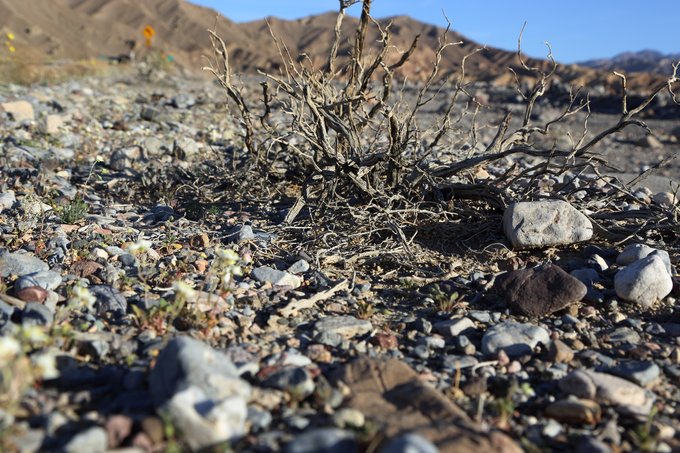 拉斯维加斯大峡谷游,拉斯维加斯大峡谷和羚羊峡谷