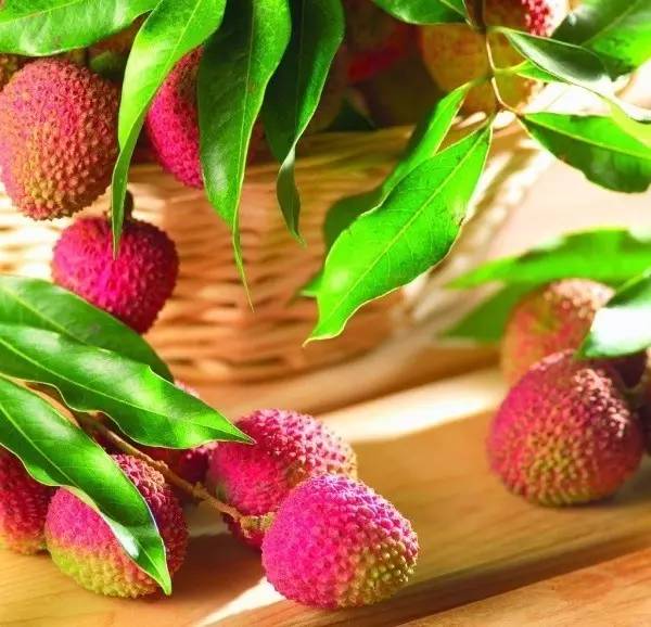 古诗词鉴赏杨万里荔枝歌,荔枝宋词唐诗