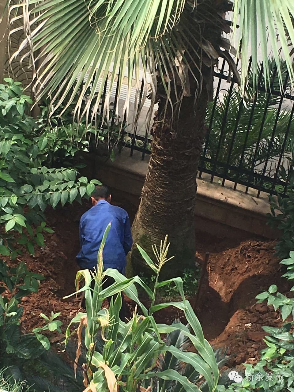 物业监守自盗小区设施,物业监守自盗的案例