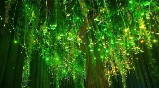 带你去天台看萤火虫,夏天最浪漫的事一起看萤火虫