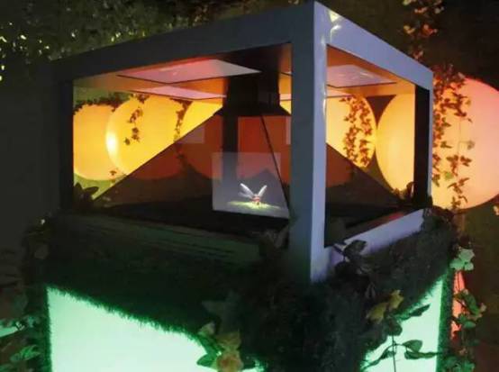 带你去天台看萤火虫,夏天最浪漫的事一起看萤火虫