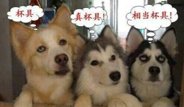 猴子农历二月出生比较好,生猴宝宝的属相