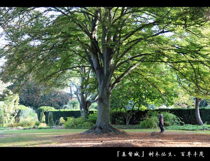 新西兰2024年4月旅游游记,yolanda新西兰