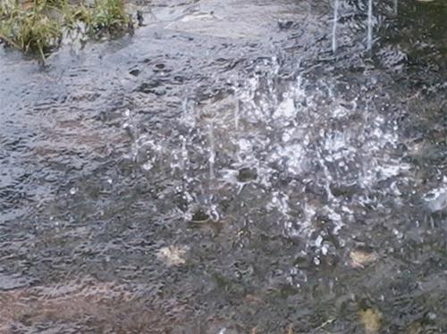 别只在朋友圈刷看海的段子了，这场大雨背后的真相比你们想象中更多！