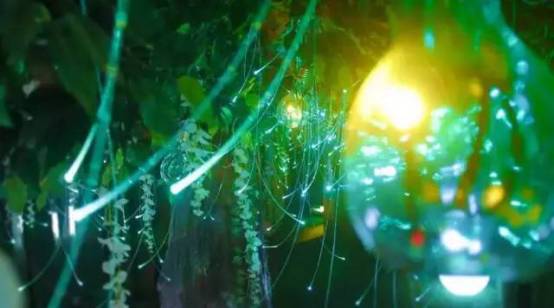 带你去天台看萤火虫,夏天最浪漫的事一起看萤火虫