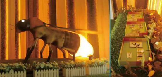 带你去天台看萤火虫,夏天最浪漫的事一起看萤火虫