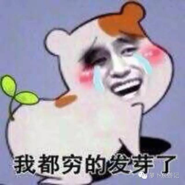 福冈旅游现在能去吗,福冈玩什么