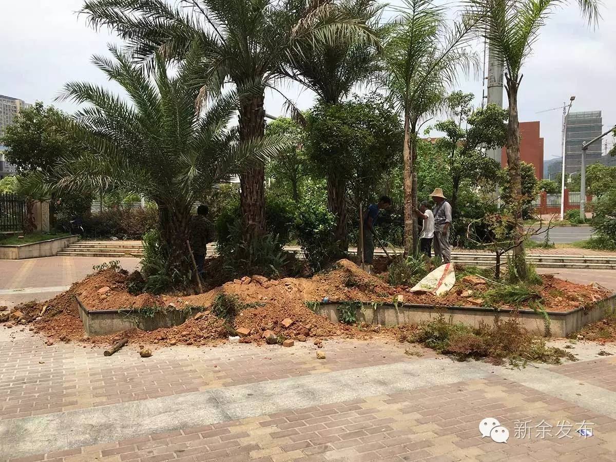 物业监守自盗小区设施,物业监守自盗的案例