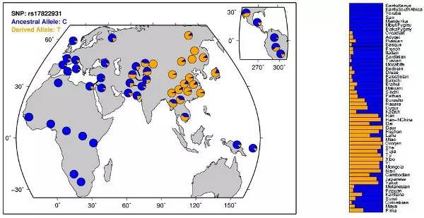 健康│狐臭是怎么产生的?如何让狐臭对别人造成的影响最小化?