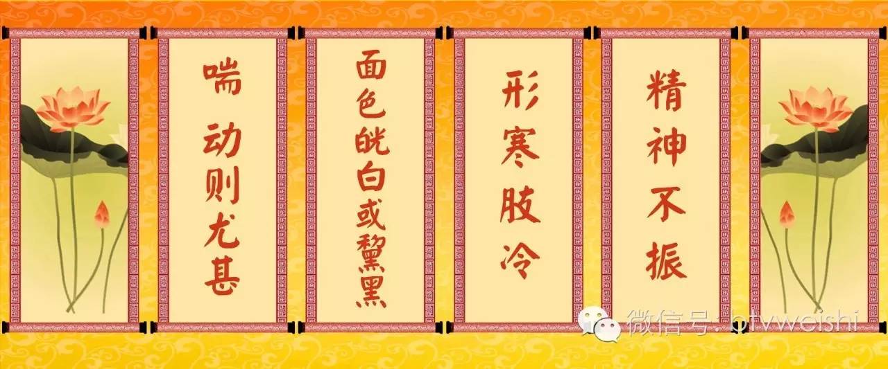 养生堂今日播出,养生堂五脏同调锻炼处方