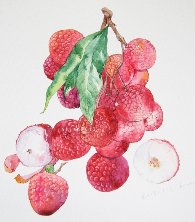 古诗词鉴赏杨万里荔枝歌,荔枝宋词唐诗