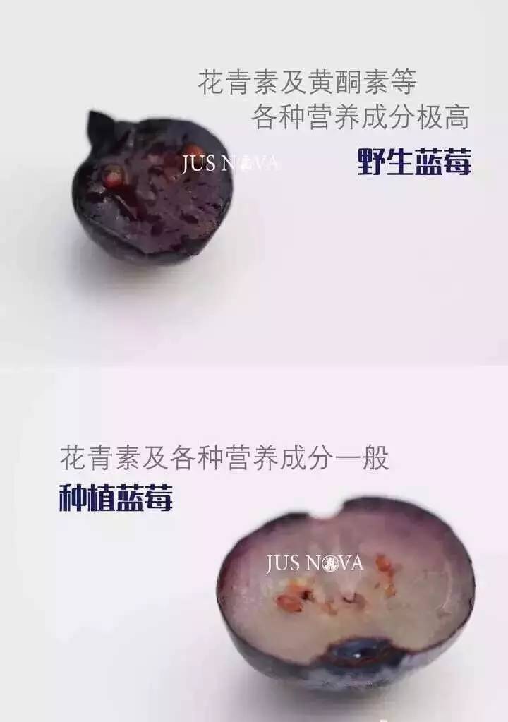 临沂百家美食微商,一人一份大礼送给你!(第一波)
