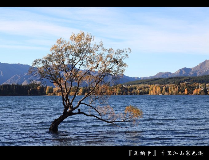 新西兰2024年4月旅游游记,yolanda新西兰