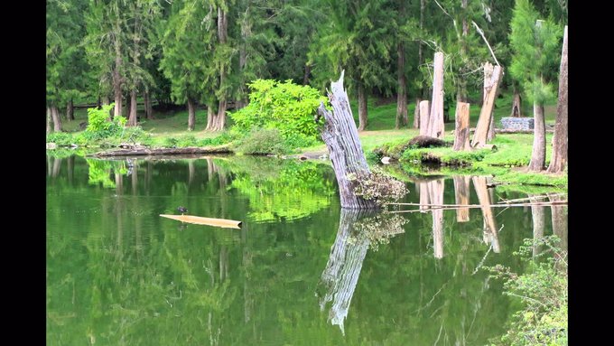 留尼汪有什么,留尼汪英文怎么读