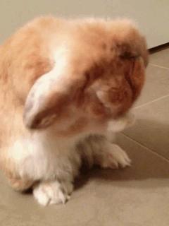 韩国最近比较火的洗面奶,joajota韩国老款洗面奶