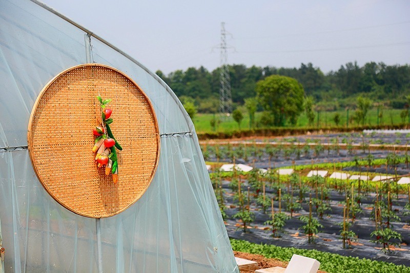 浙江亲子度假村,儿童乐园酒店吃住一体推荐