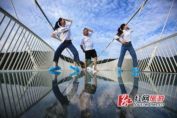 张家界鸟叔,湖南张家界鸟叔