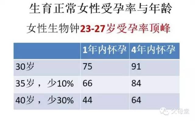 大龄做父母的优势陈磊微课堂