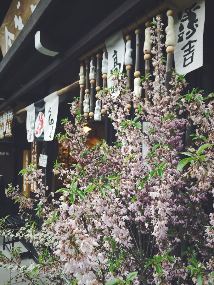 【不去会死】2016.春の小游-不走寻常路—日本升龙道,高山、白川乡）小丸子博物馆，附最新升龙道券使用报告